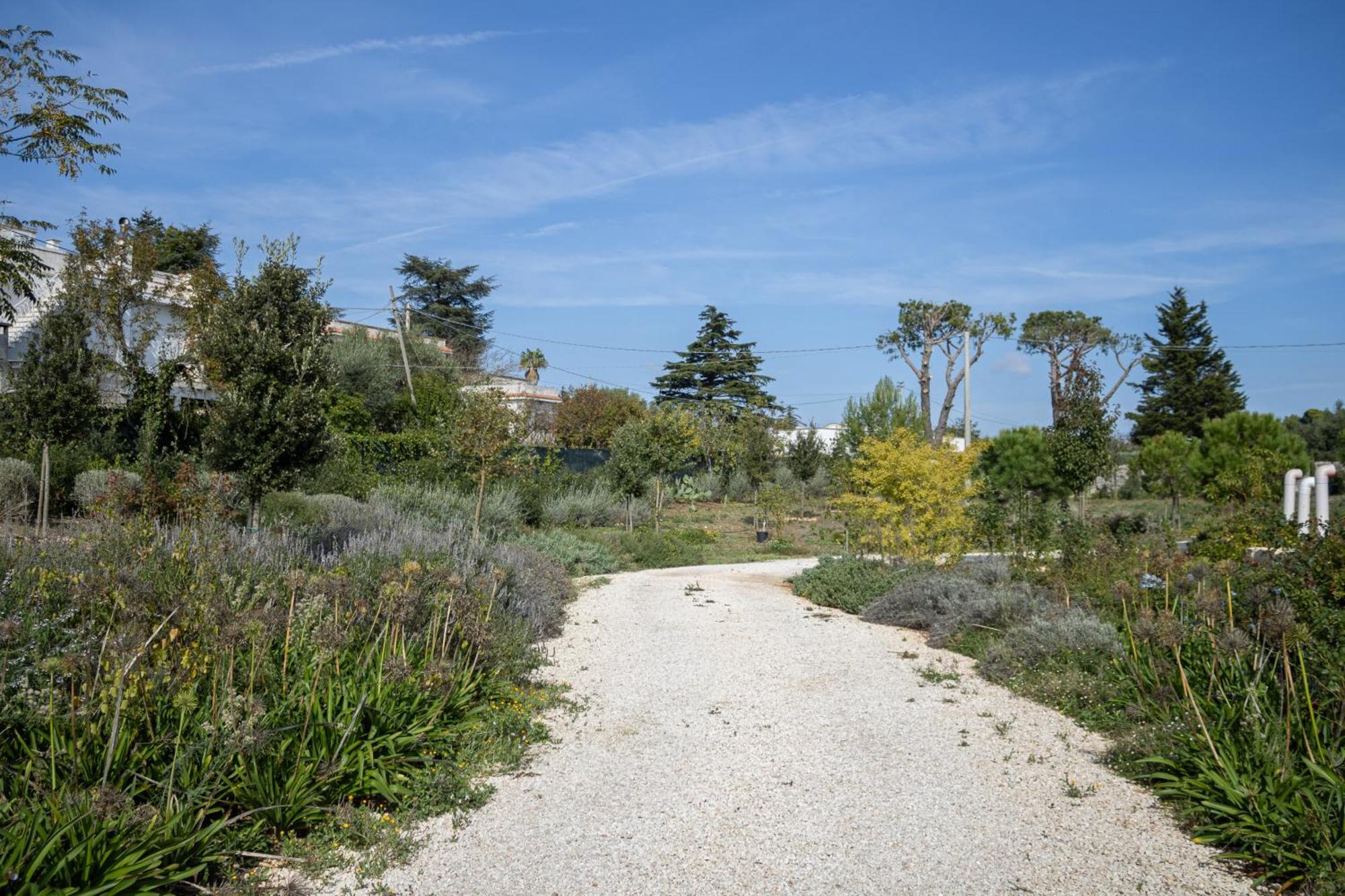 Villa Ada-Trulli Puglia Martina Franca Exterior foto